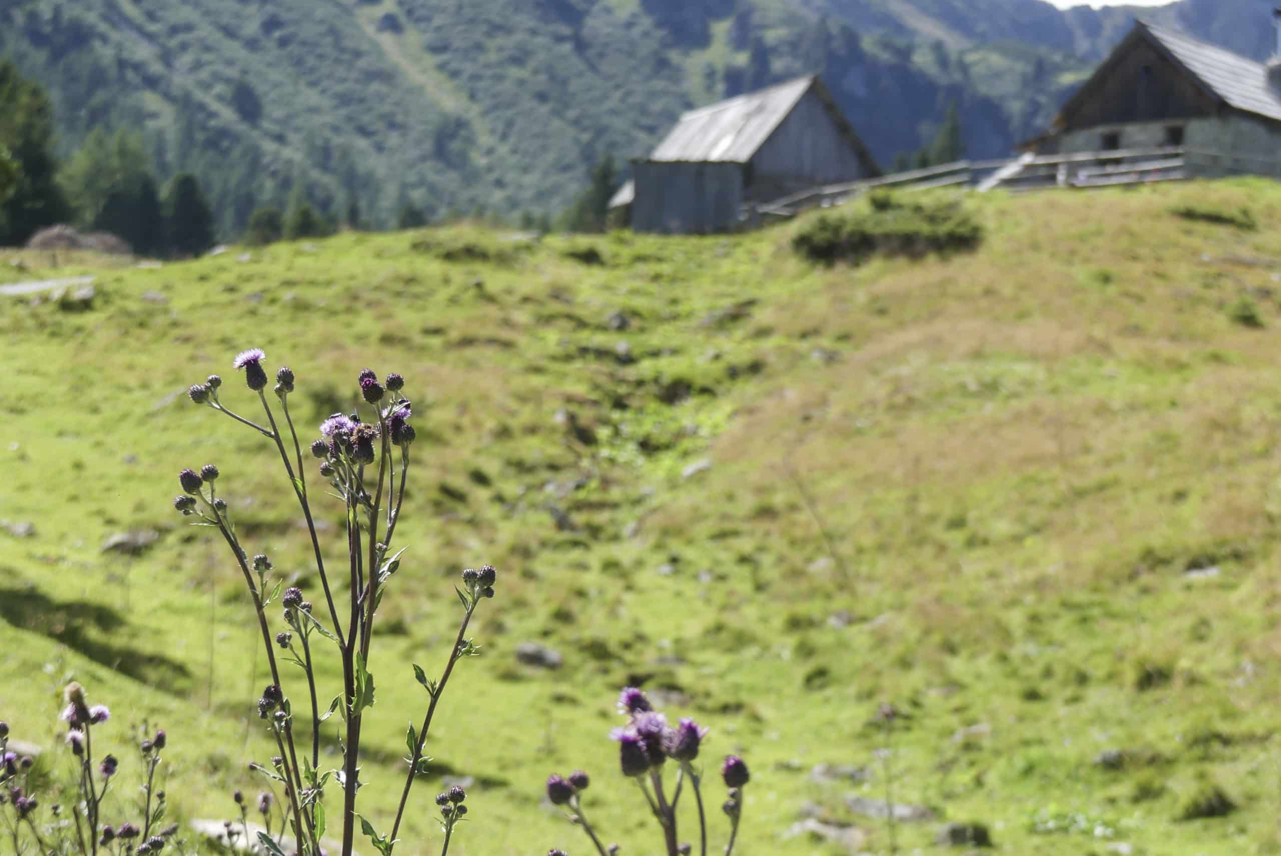Hohentauern, Wanderparadies