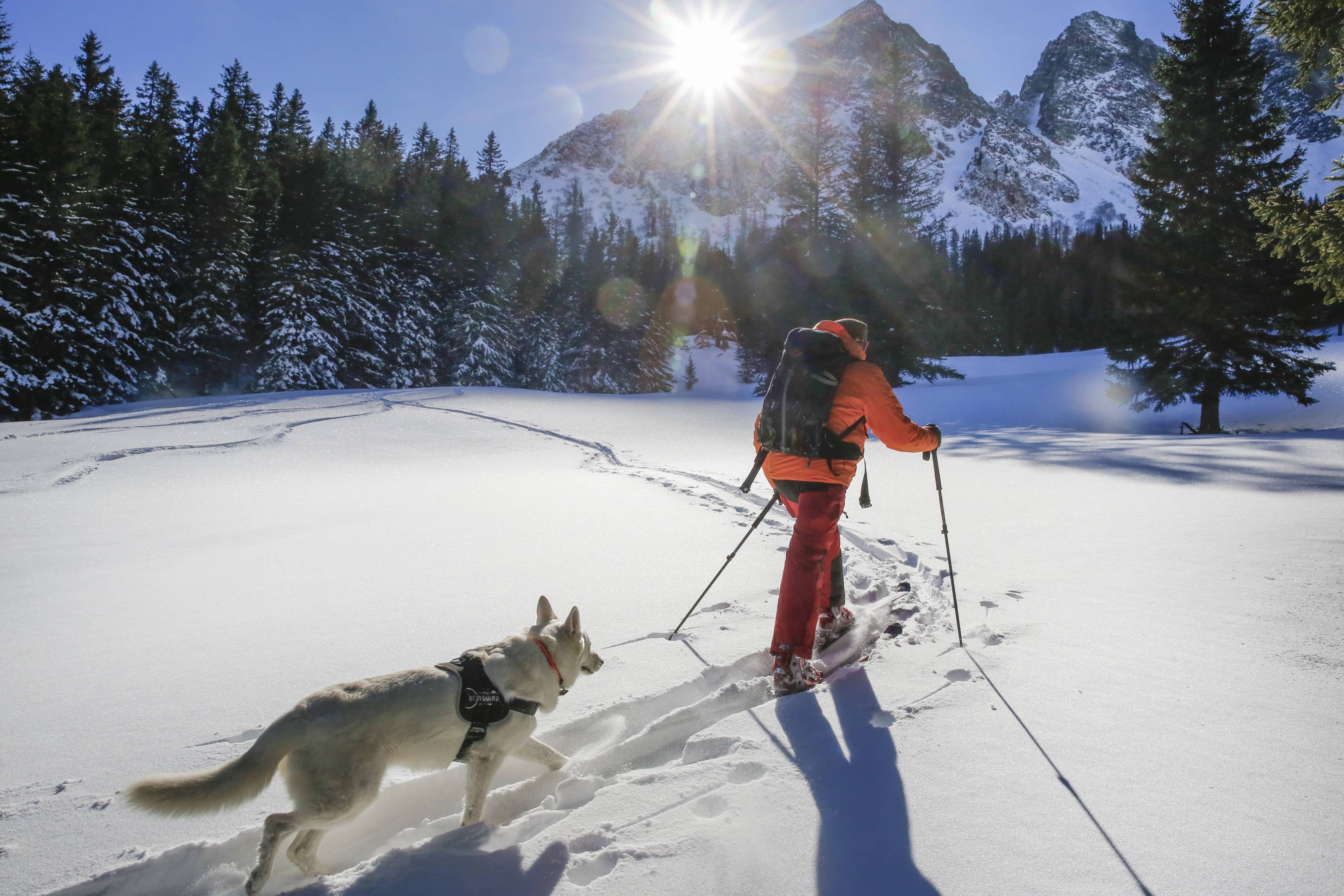 Schneeschuhwandern mit Hund, Steiermark