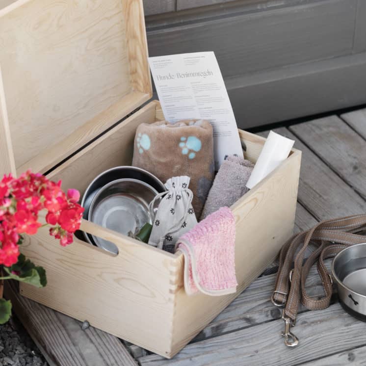 Hundebox für den Urlaub mit Hund in der Ferienwohnung
