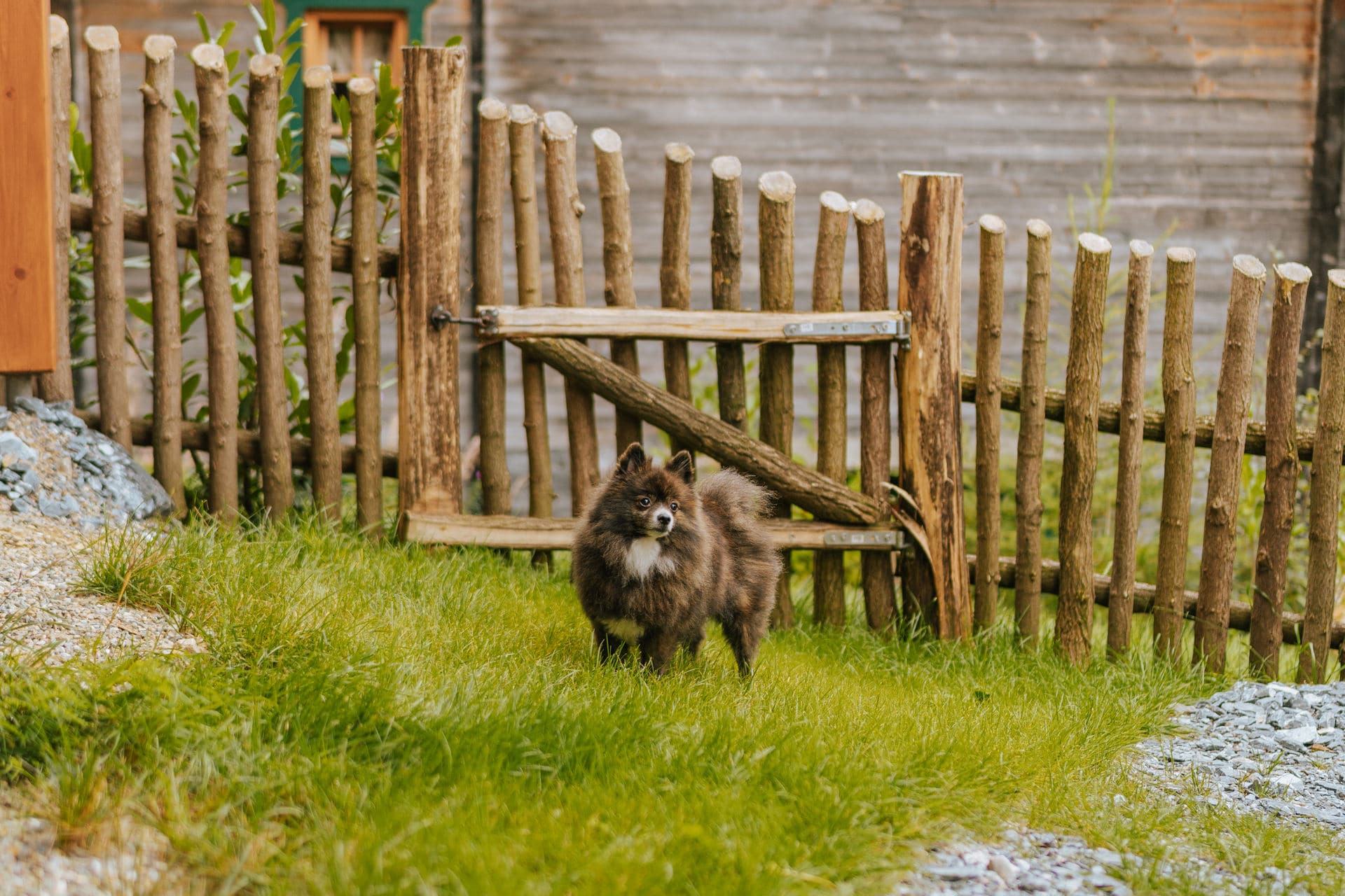 Ferienwohnung mit eingezäuntem Garten für den Urlaub mit Hund, Steiermark