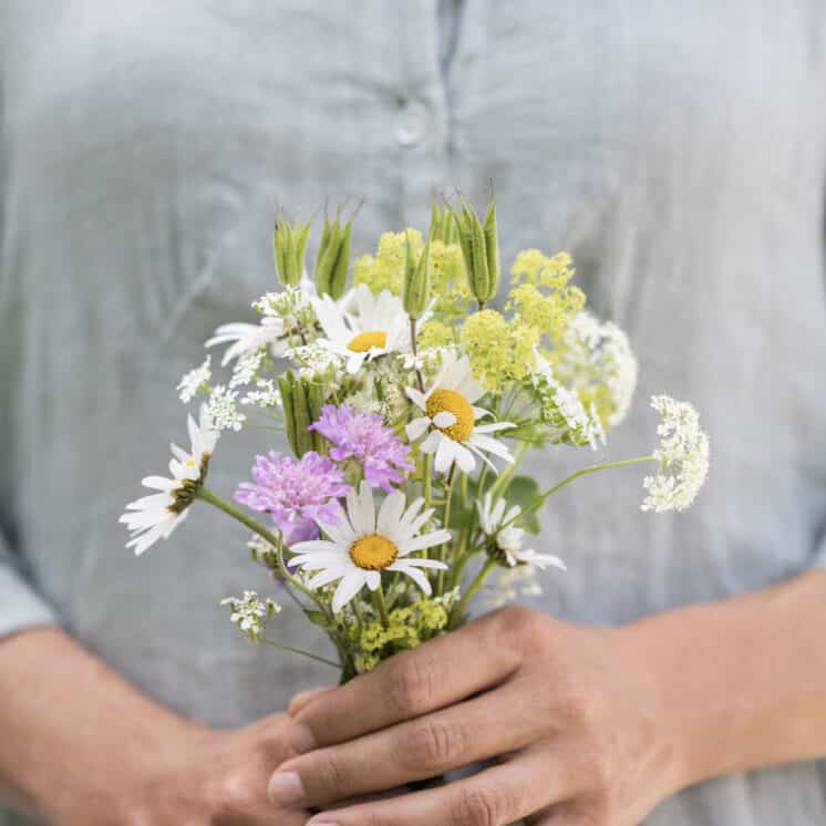 Blumen Sloho
