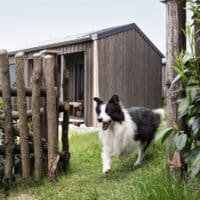 Urlaub mit Hund, Appartements, Steiermark