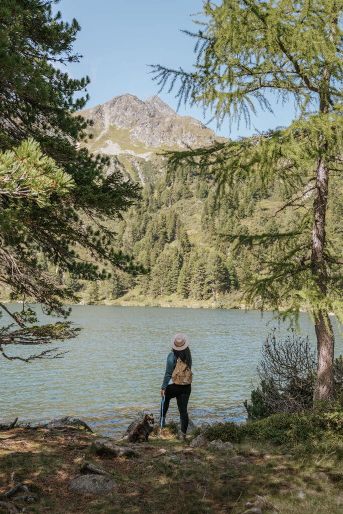Wanderin am Scheibelsee