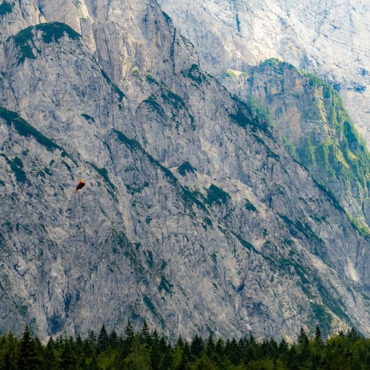 Zipline, Abenteuer
